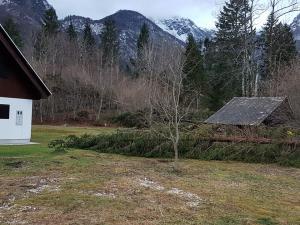 Ukanc (avtor fotografije Jure Sodja)